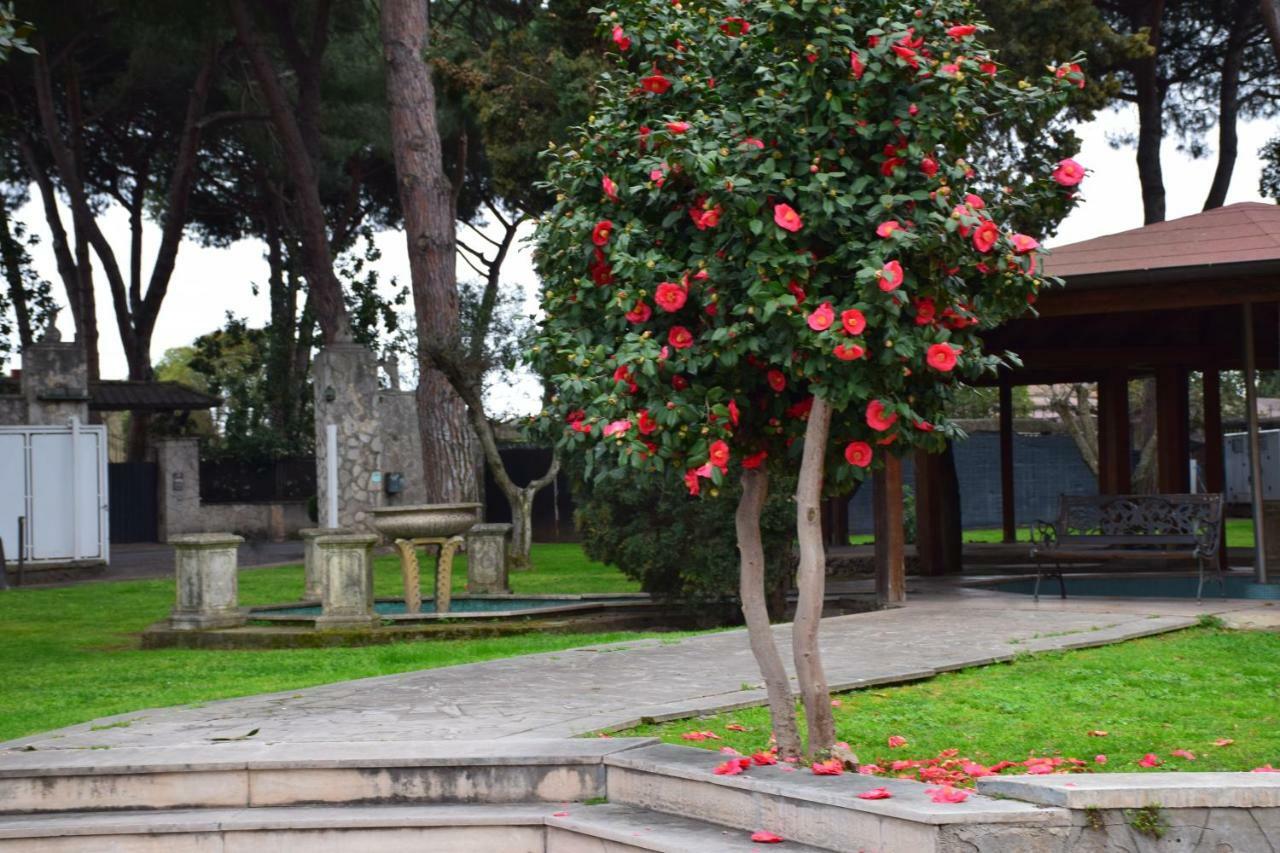 Mancini Park Hotel Rome Bagian luar foto